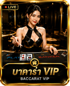 บาคาร่า VIP