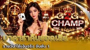 บาคาร่าคืนยอดเสีย รายวัน